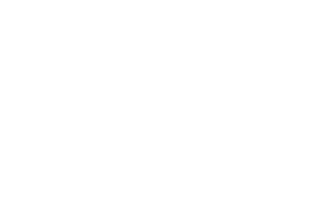 monarch butterfly lifecycle