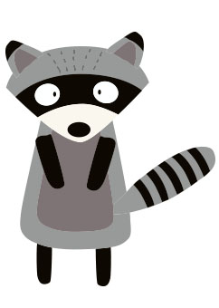 racoon