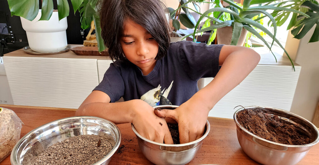 mixing the substrate for an isopod habitat