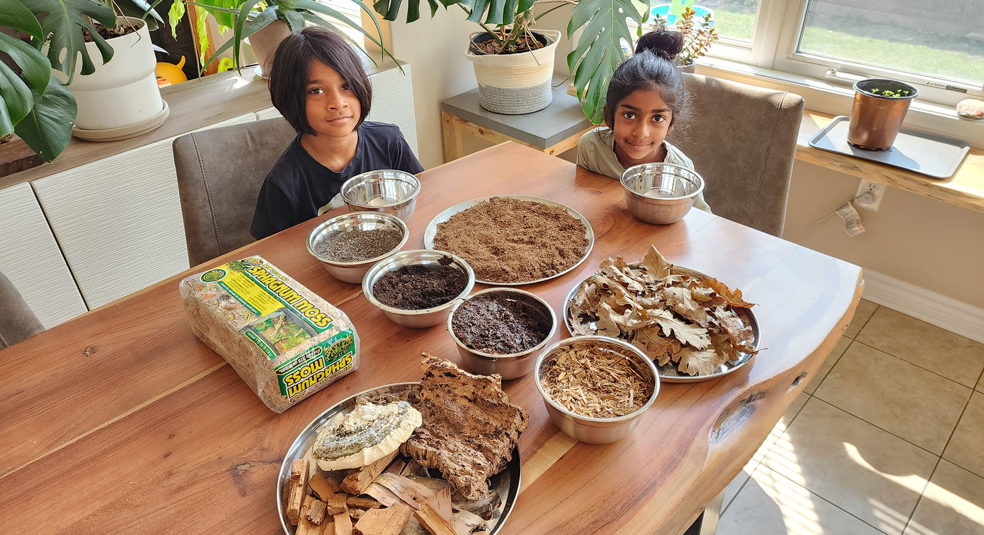 How To Create A Habitat For Isopods Let's Go Avocado!