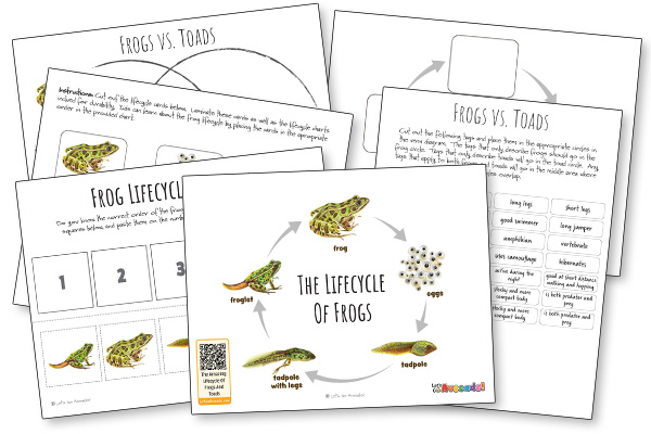 frogs and toads nature study
