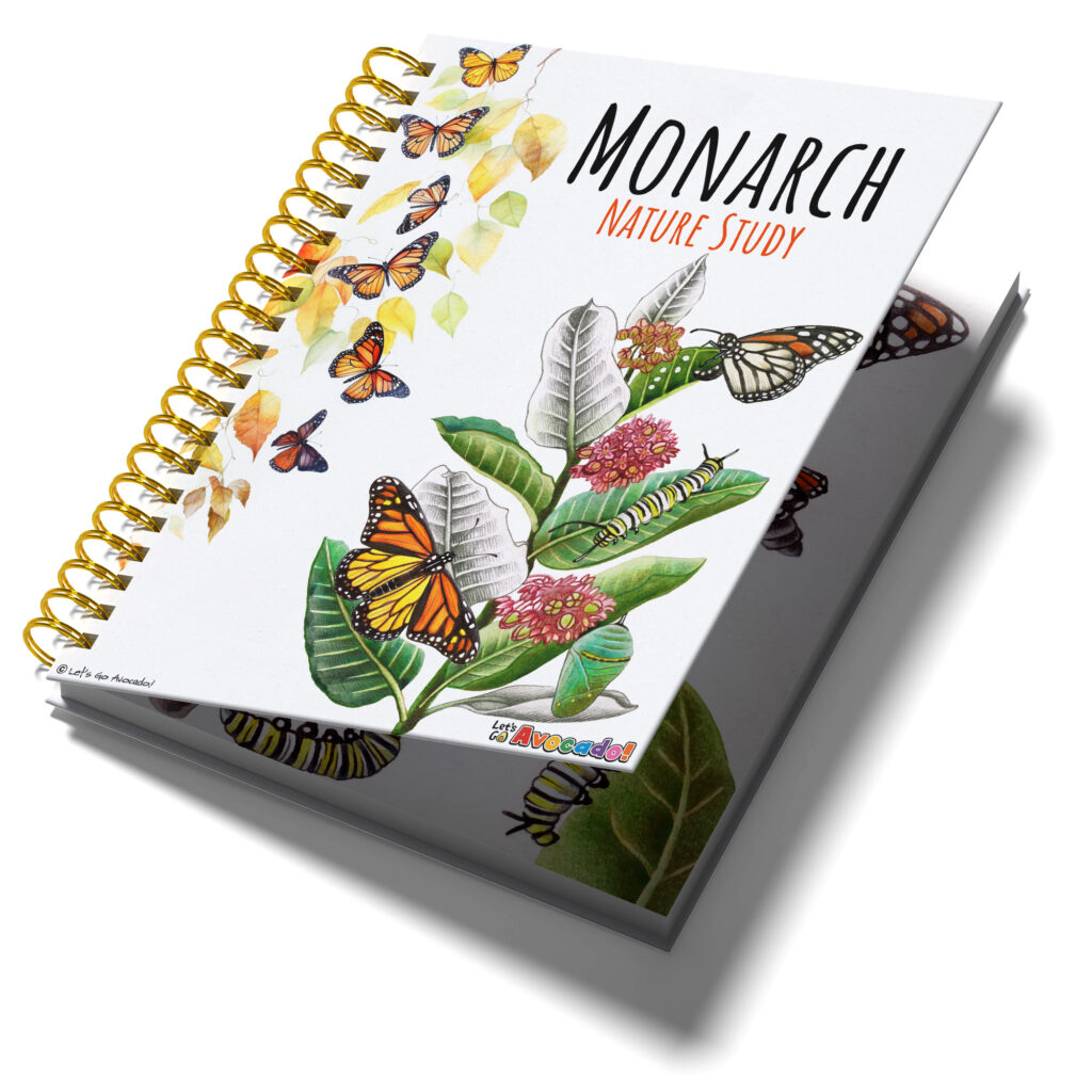 Monarch butterfly nature study
