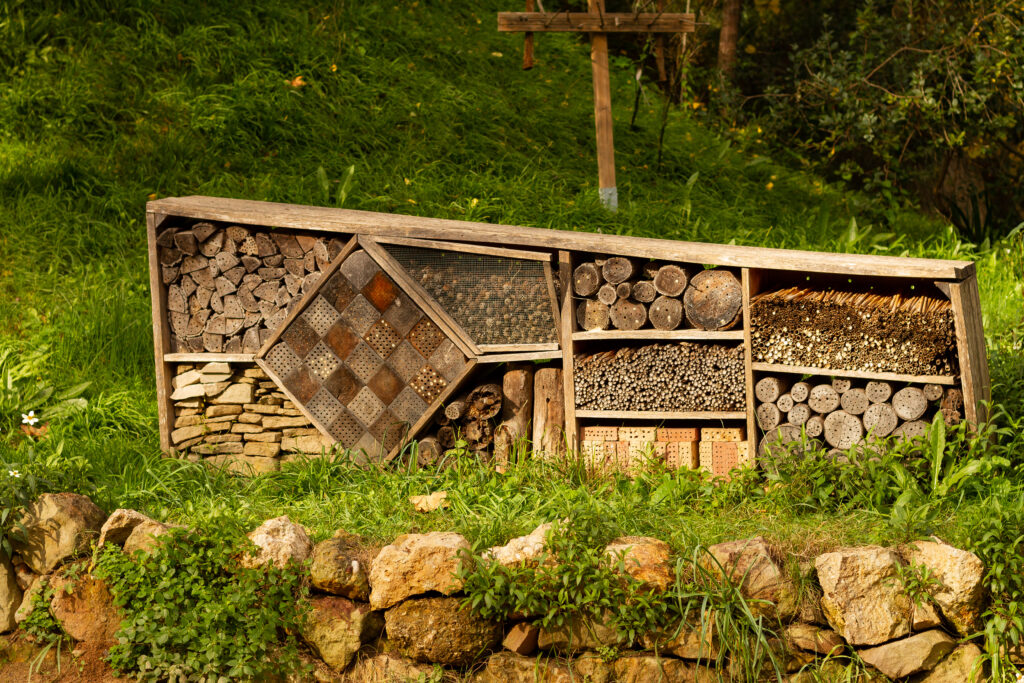 bug hotel