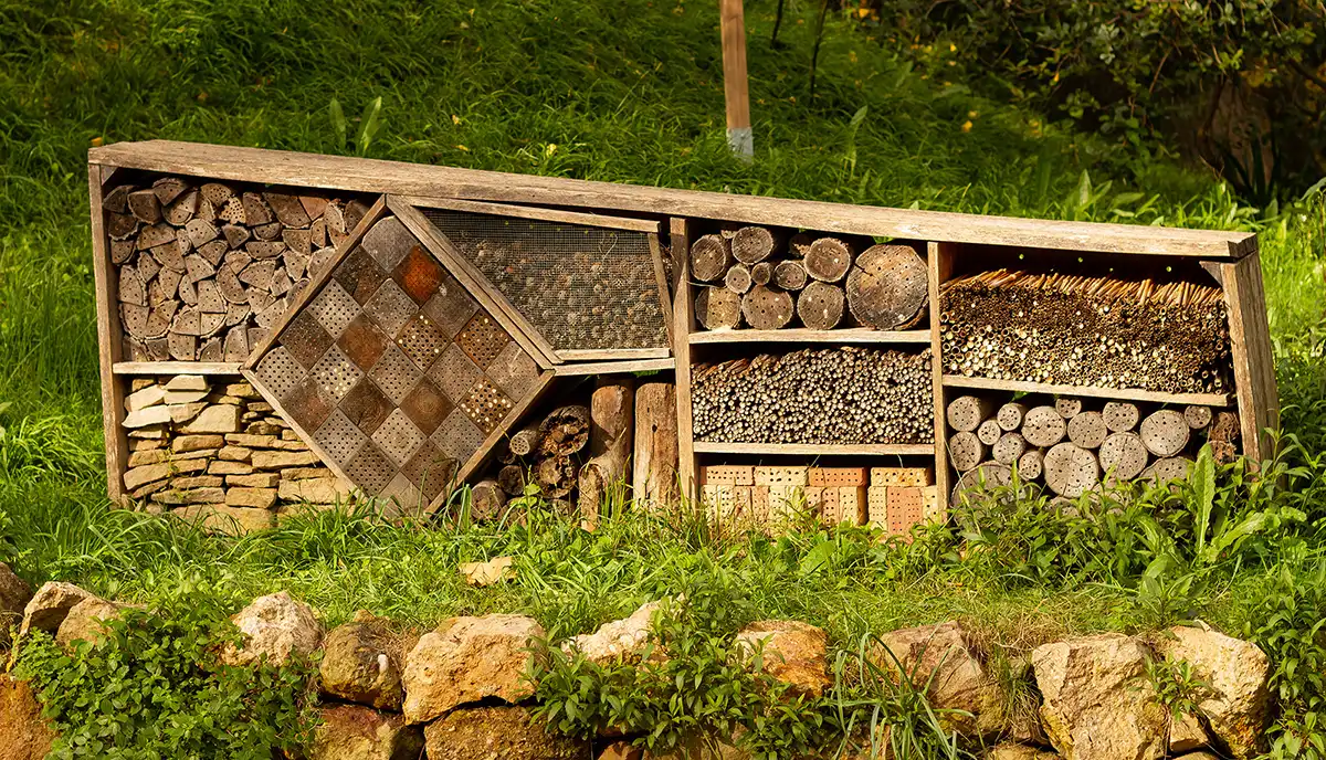 how to build a bug hotel, DIY bug hotel, homeschool activity for kids