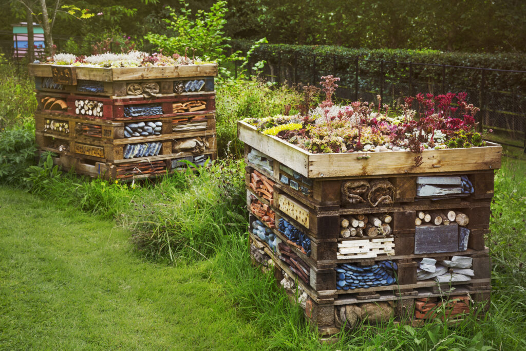 bug hotel