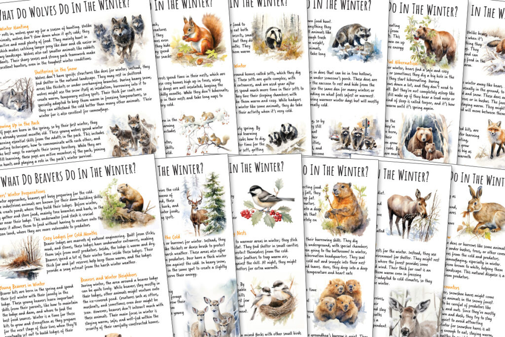 Winter Forest Animals Nature Study