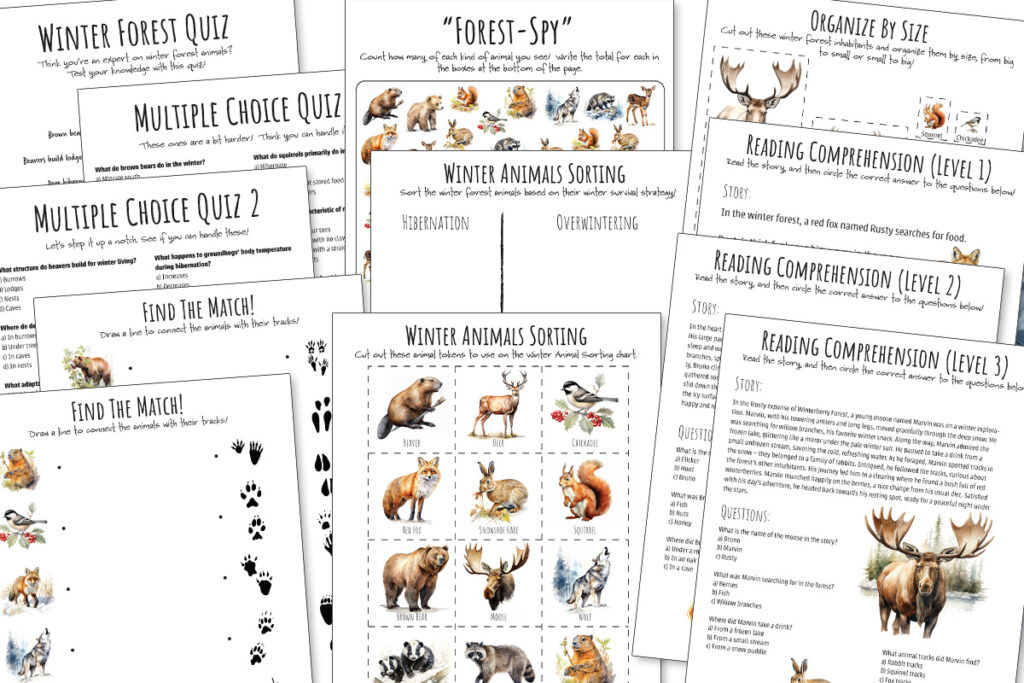 Winter Forest Animals Nature Study