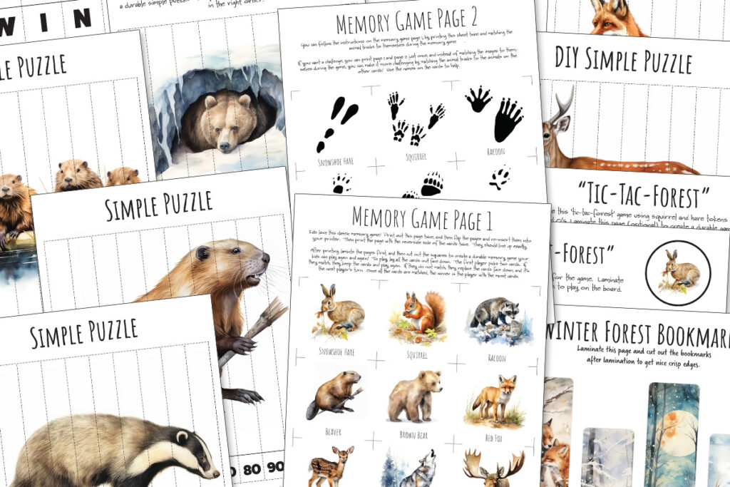 Winter Forest Animals Nature Study