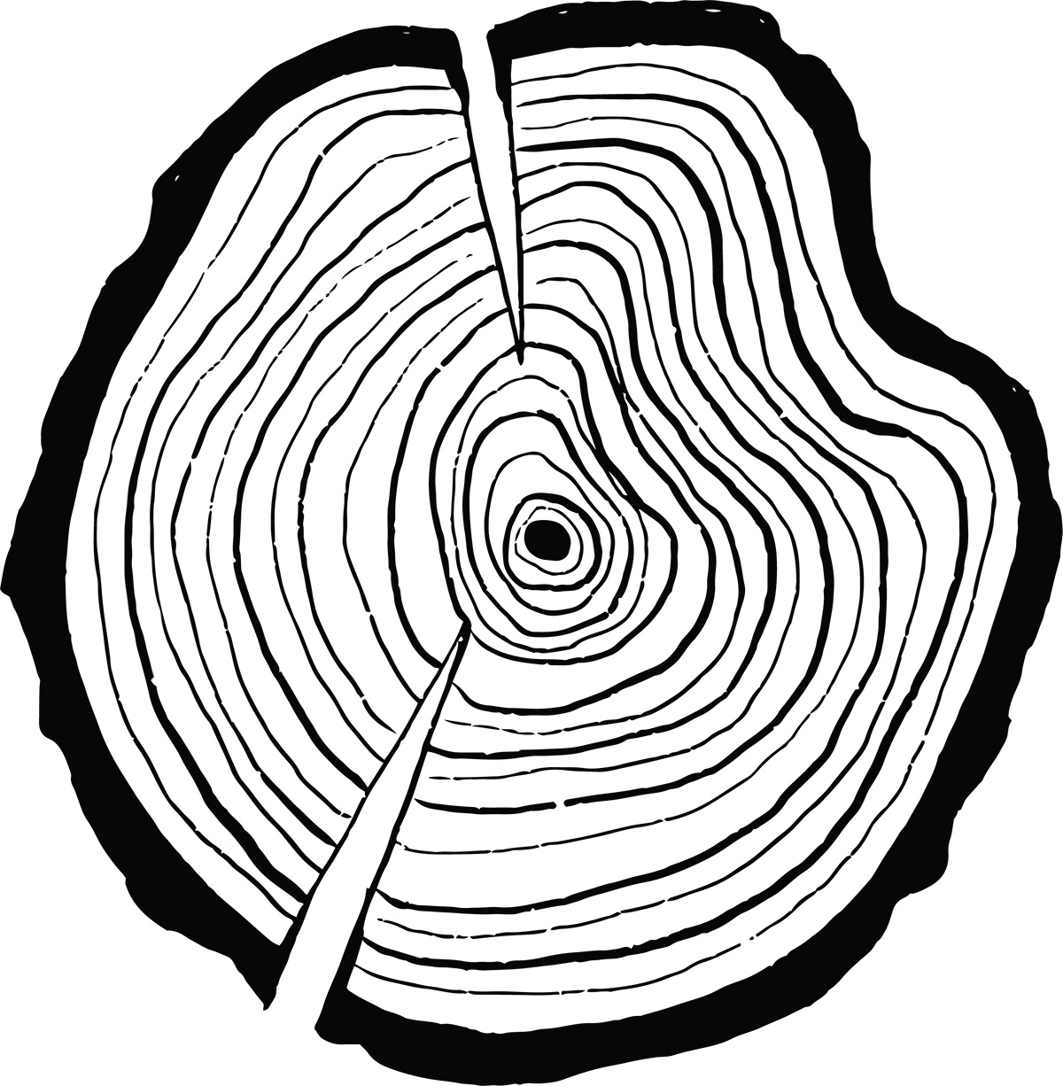 Tree Rings