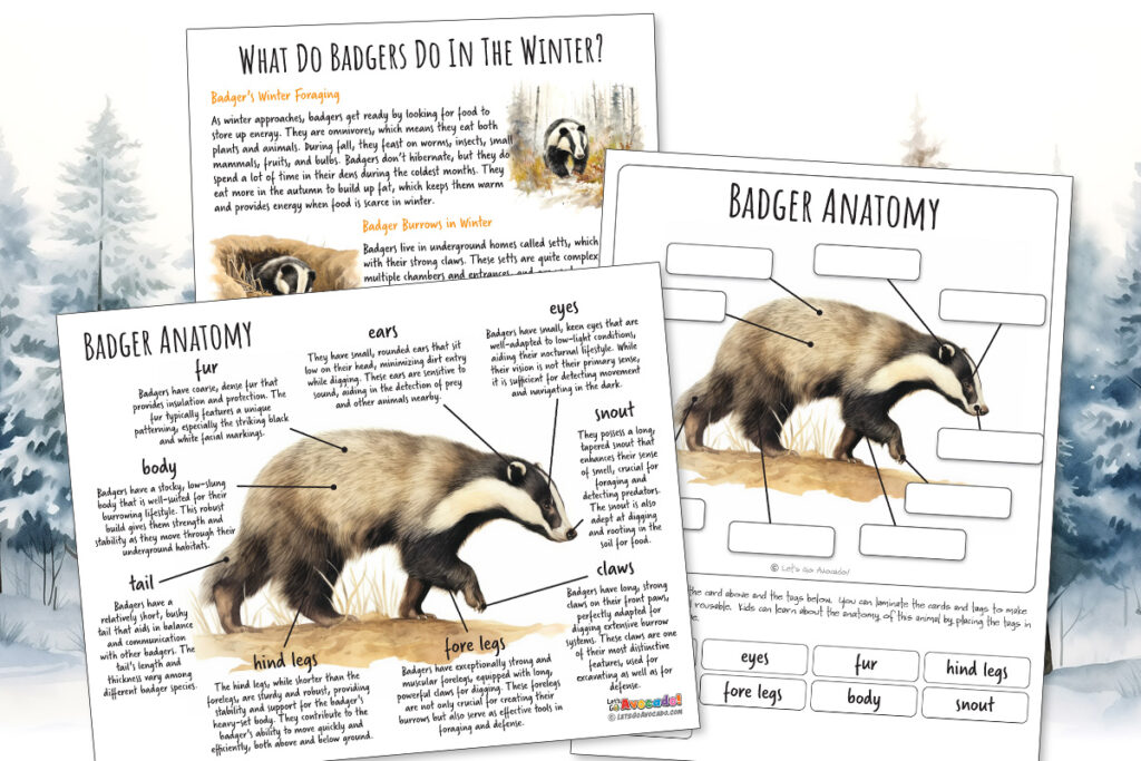 Badger Anatomy homeschool printable
