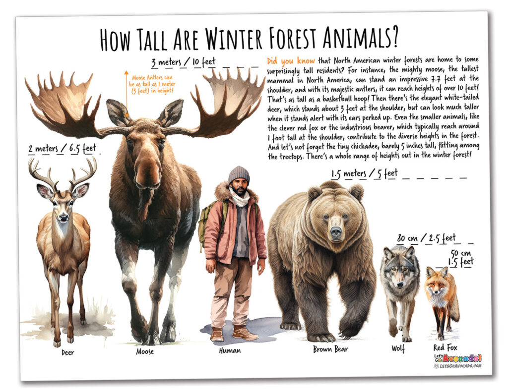 Winter animals size comparison homeschool printable poster