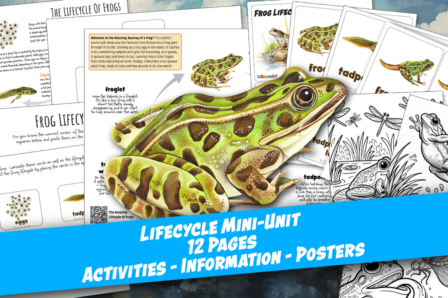 lifecycle contents homeschool printables