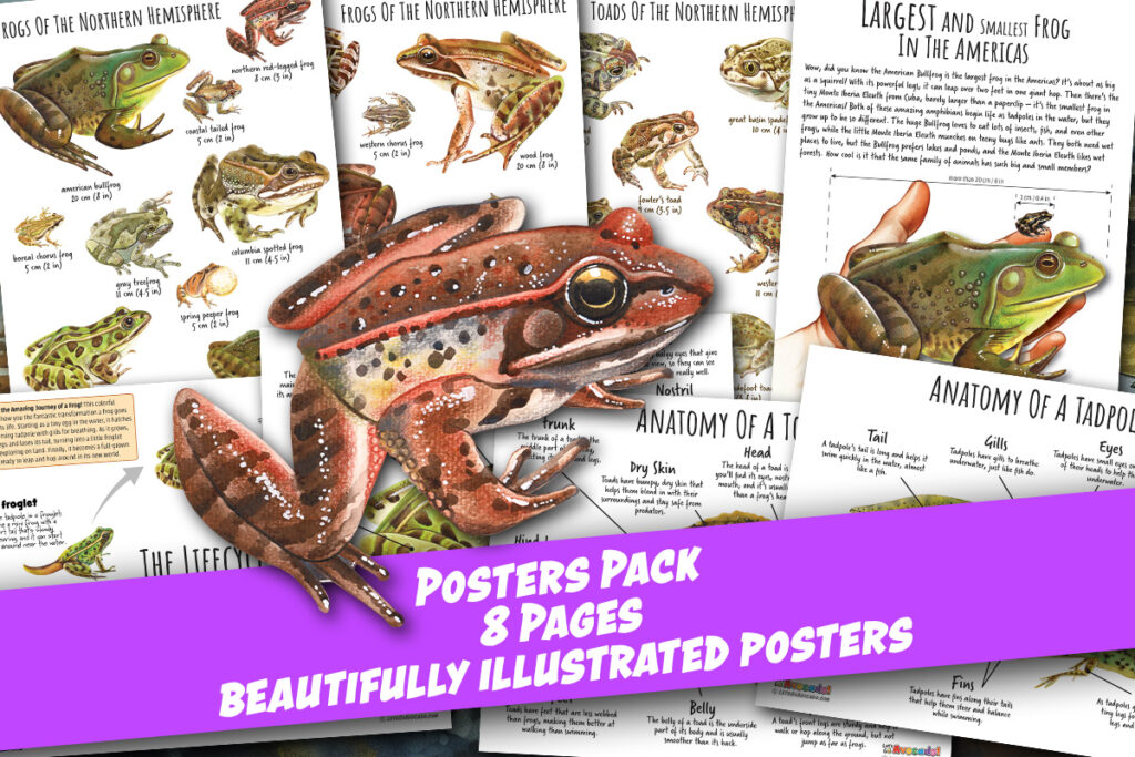 frog and toad posters homeschool printables