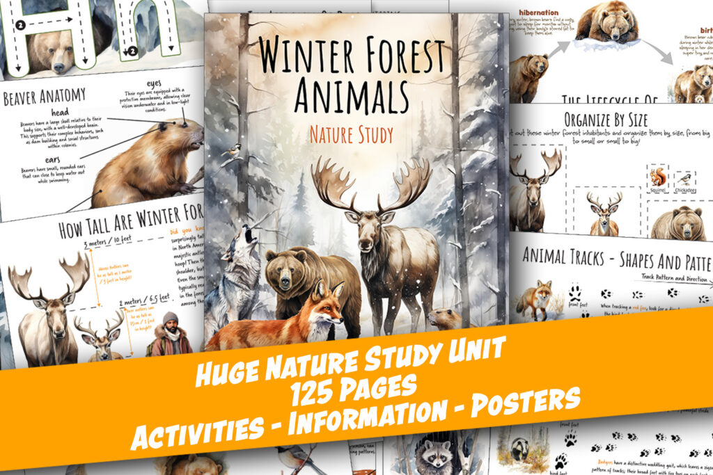 winter forest animals nature study homeschool worksheets