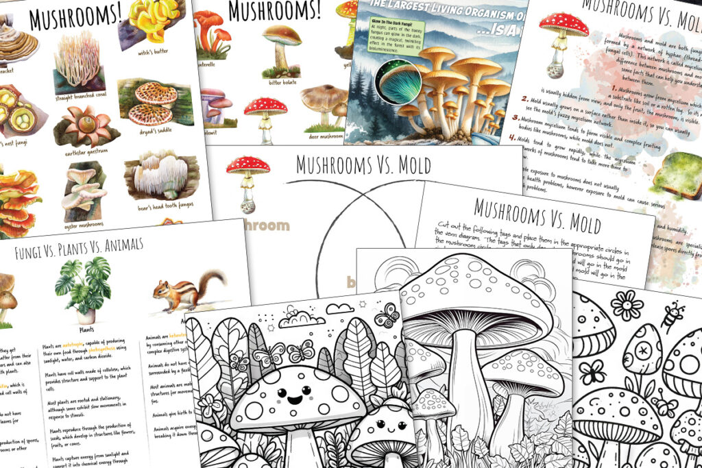 Mushroom Nature Study Homeschool printable lifecycle anatomy posters classroom printable
