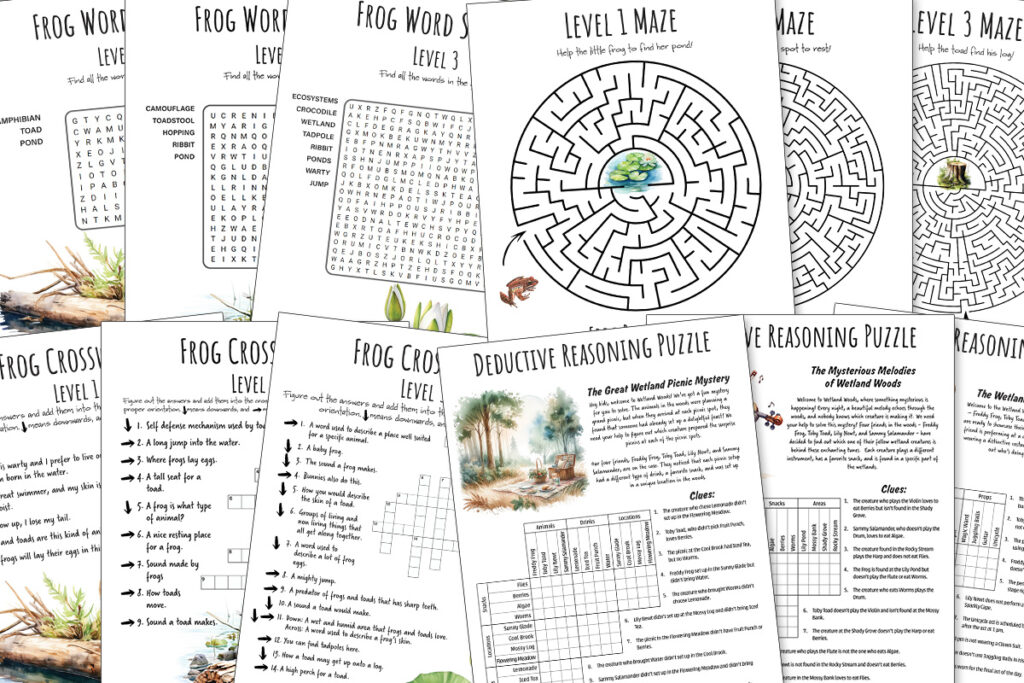 frogs and toads nature study homeschool printables, posters, lifecycle, anatomy, classroom printables