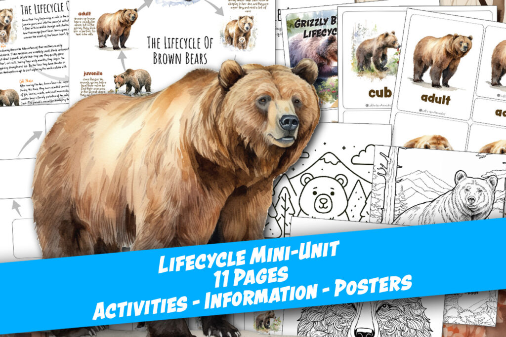 grizzly bear lifecycle homeschool printables