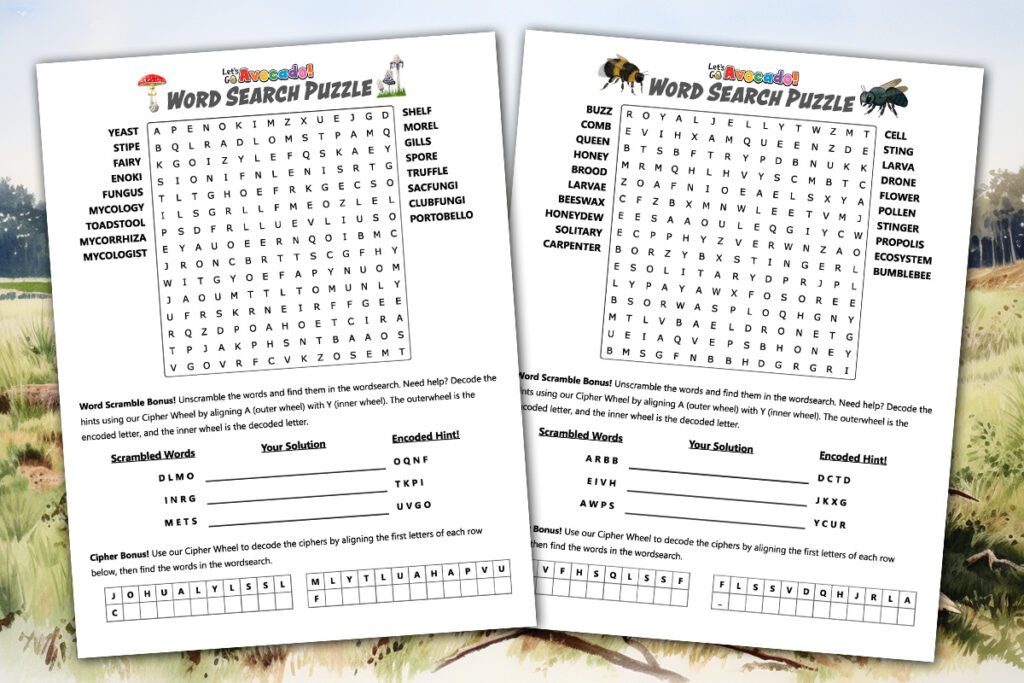 homeschool printables wordsearch creator