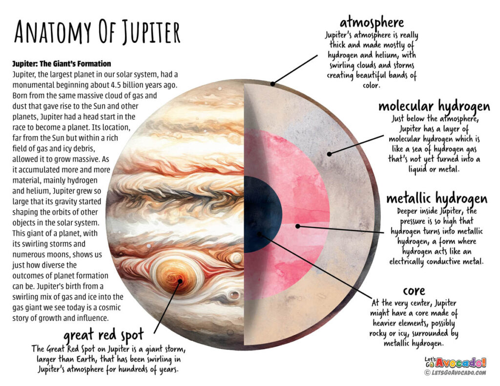 anatomy of jupiter the largest planet in the solar system