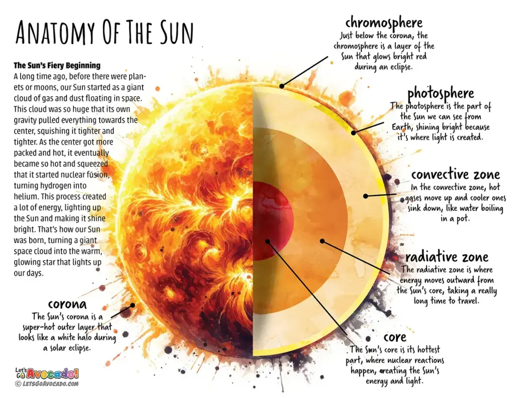 amazing facts about the sun that every kid should know