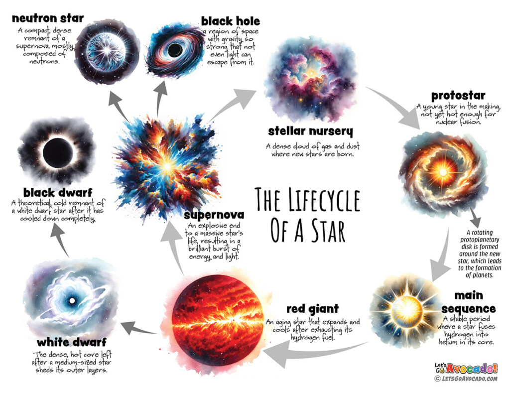 lifecycle of a star amazing facts about the sun that every kid should know