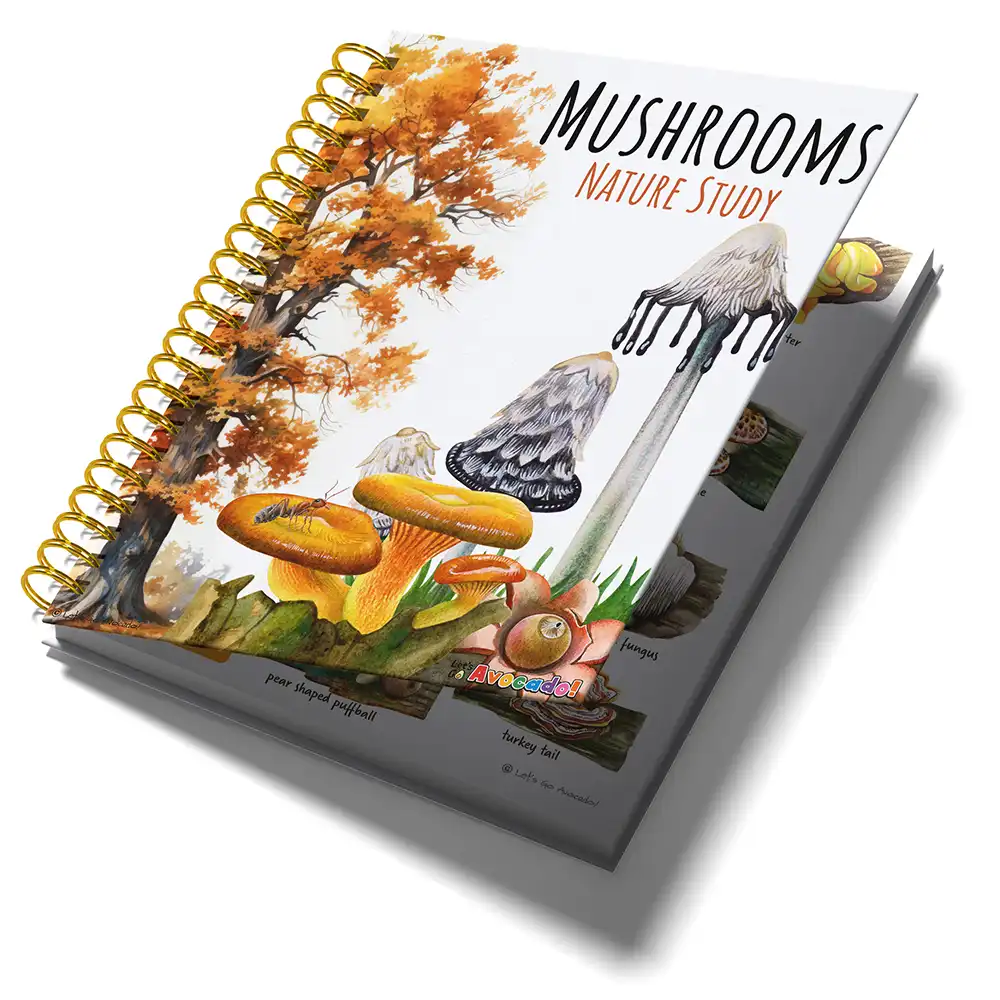 Mushroom Nature Study Homeschool Printables