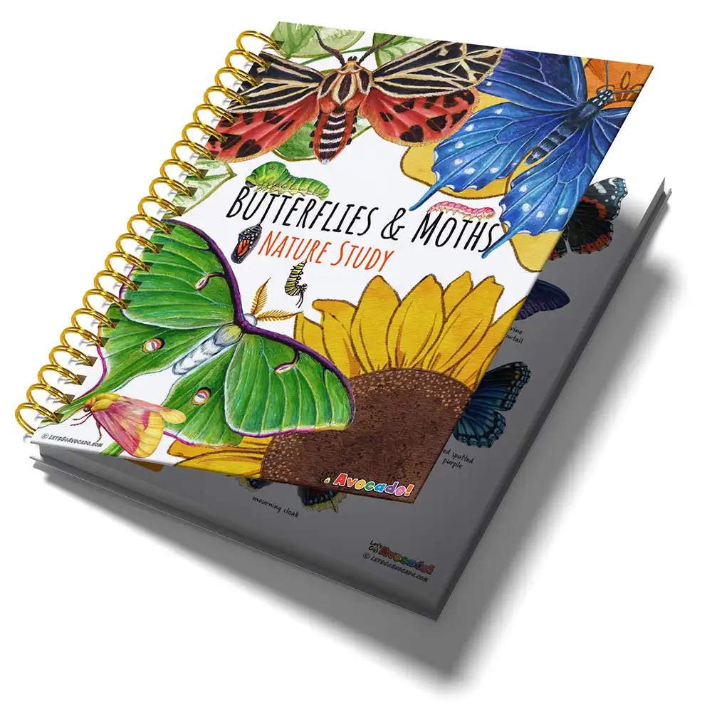 Butterflies and Moths Nature Study Homeschool Printables