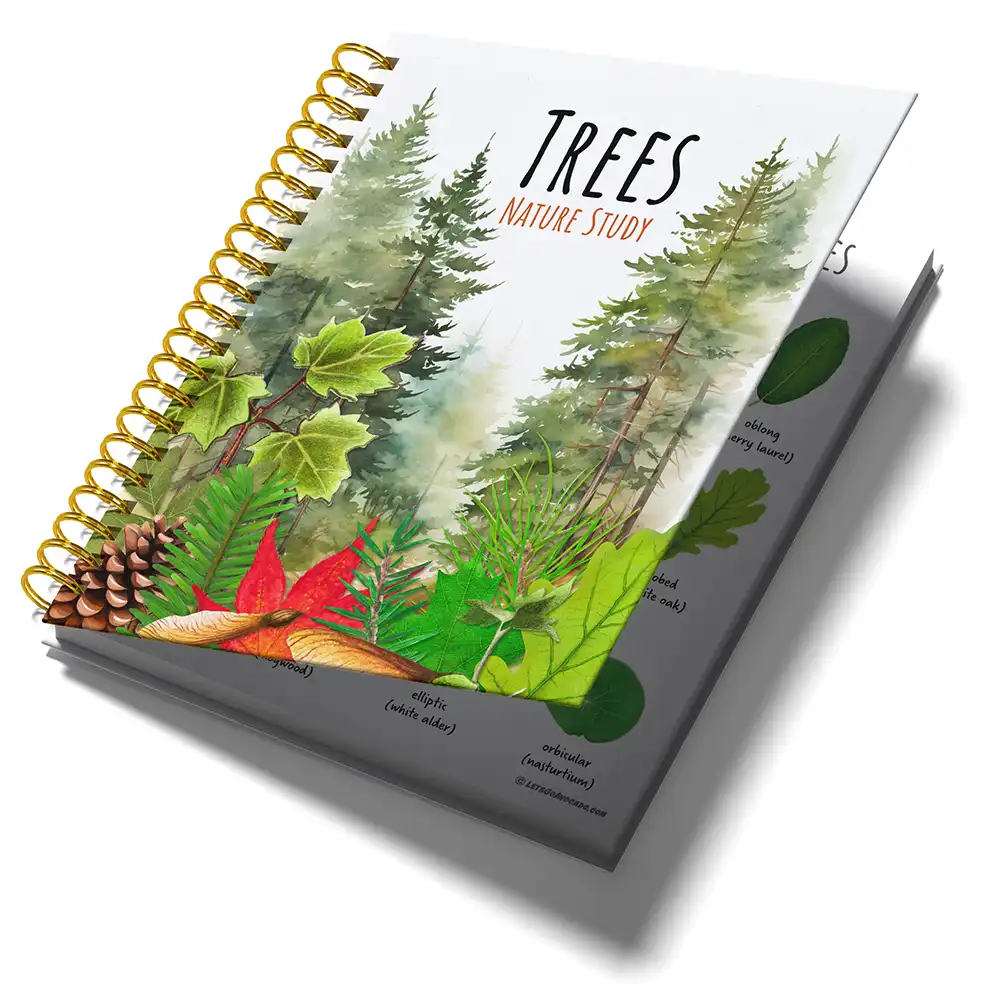 Trees Nature Study Homeschool Printables