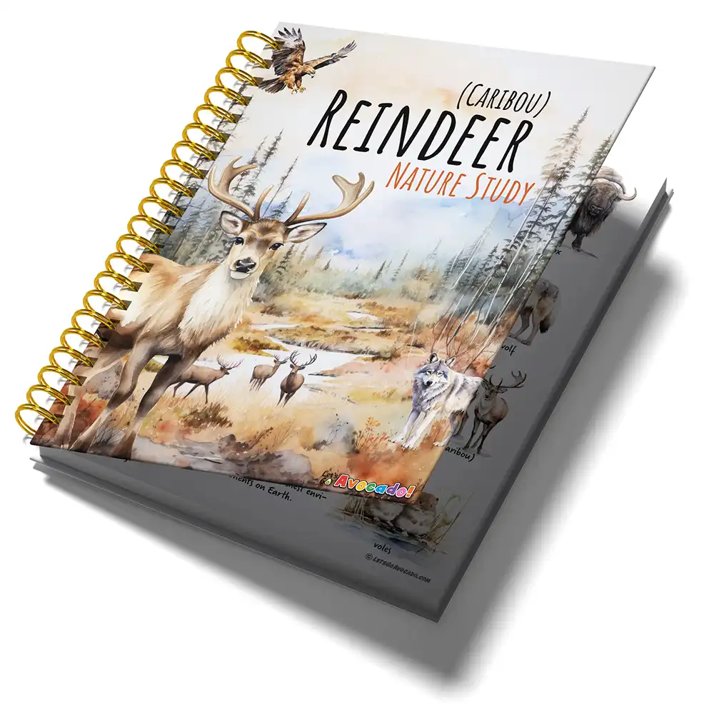 Reindeer Caribou Nature Study Homeschool Printable