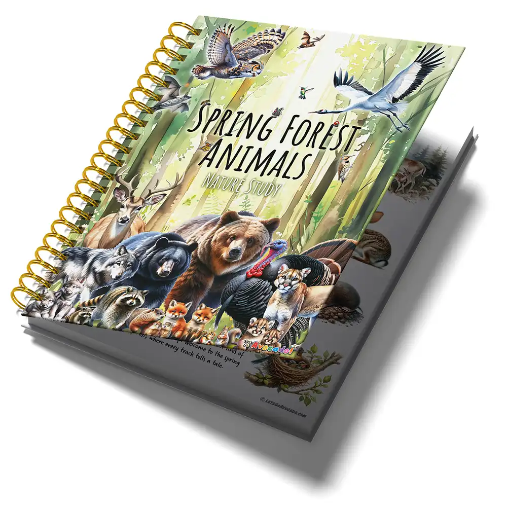 Spring Forest Animals Nature Study Homeschool Printables