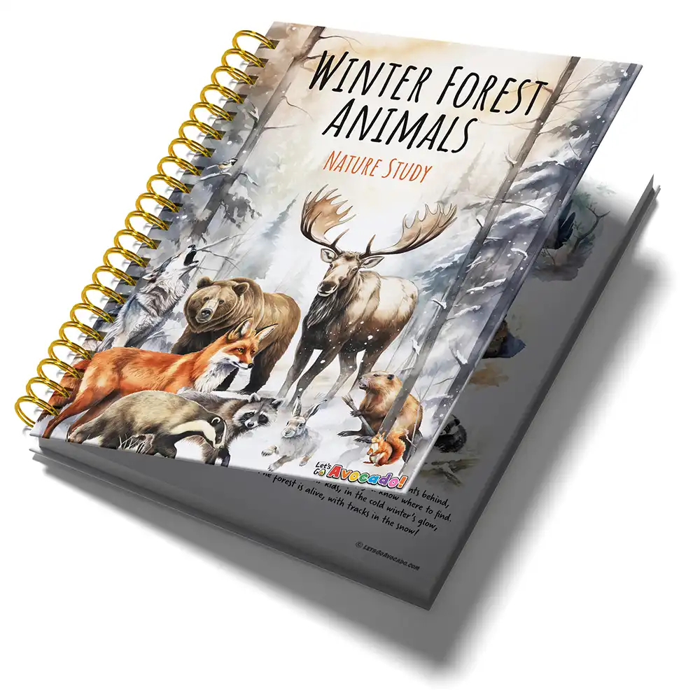 Winter Forest Animals Nature Study