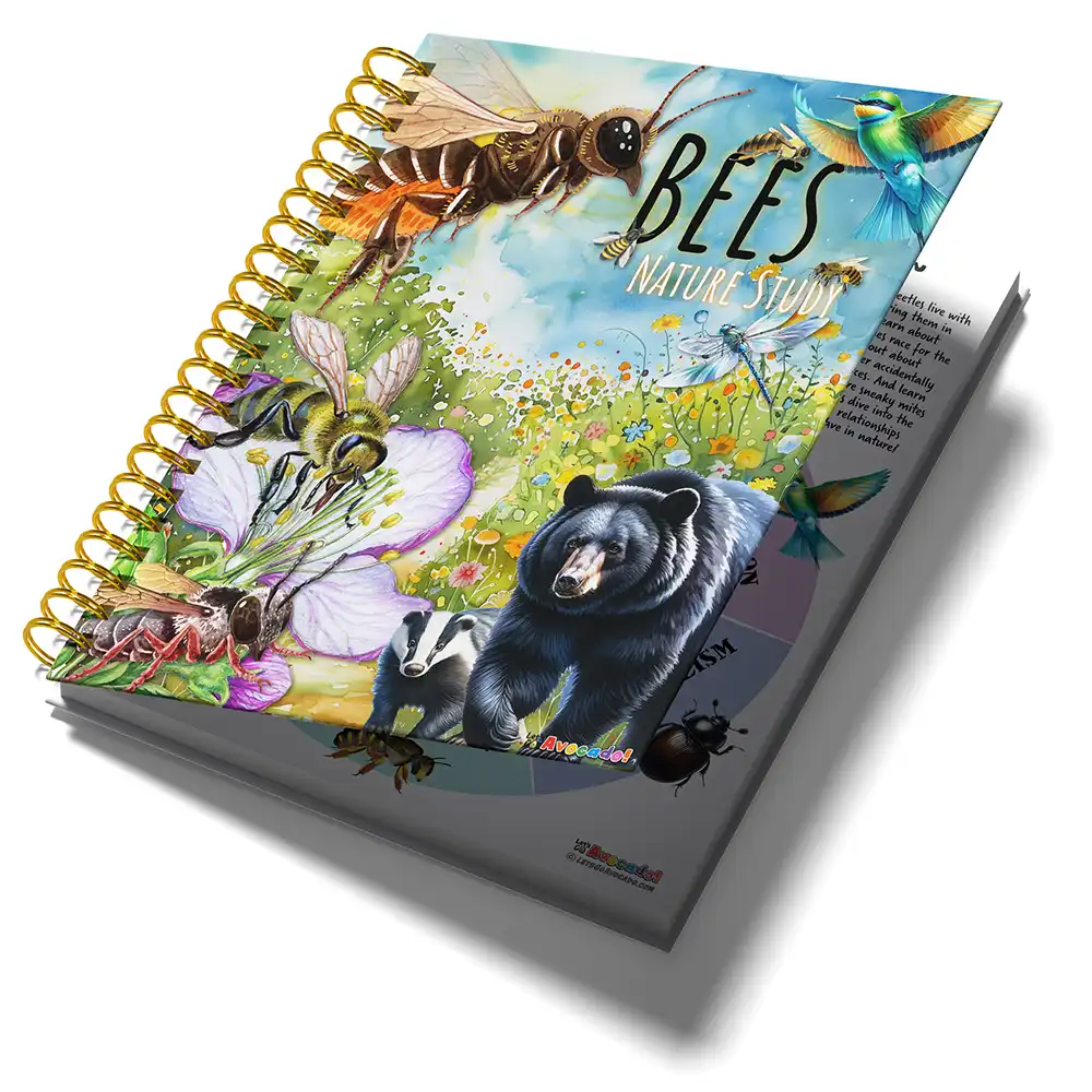 Bees Nature Study Homeschool Printables