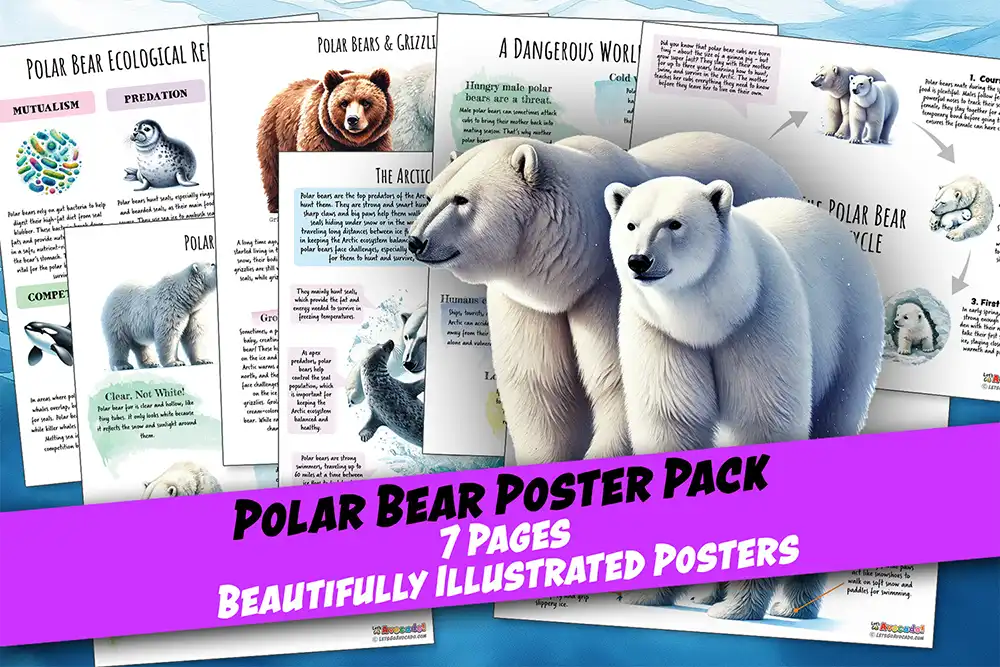 Polar Bear Posters Homeschool Printables Unit Study